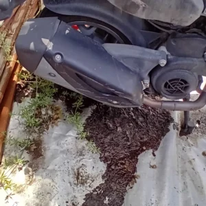 pot d'échappement aprilia sxr 50 4t